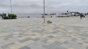 Сергей Милейко - Пройдут года...