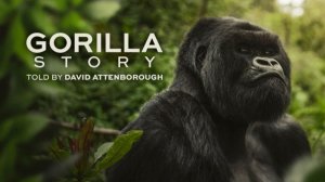 История гориллы: Рассказ Дэвида Аттенборо (2026) / A Gorilla Story: Told by David Attenborough