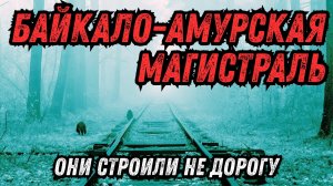 СССР: Что скрывали в сибирской тайге под видом железной дороги