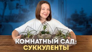 КОМНАТНЫЙ САД СУККУЛЕНТОВ