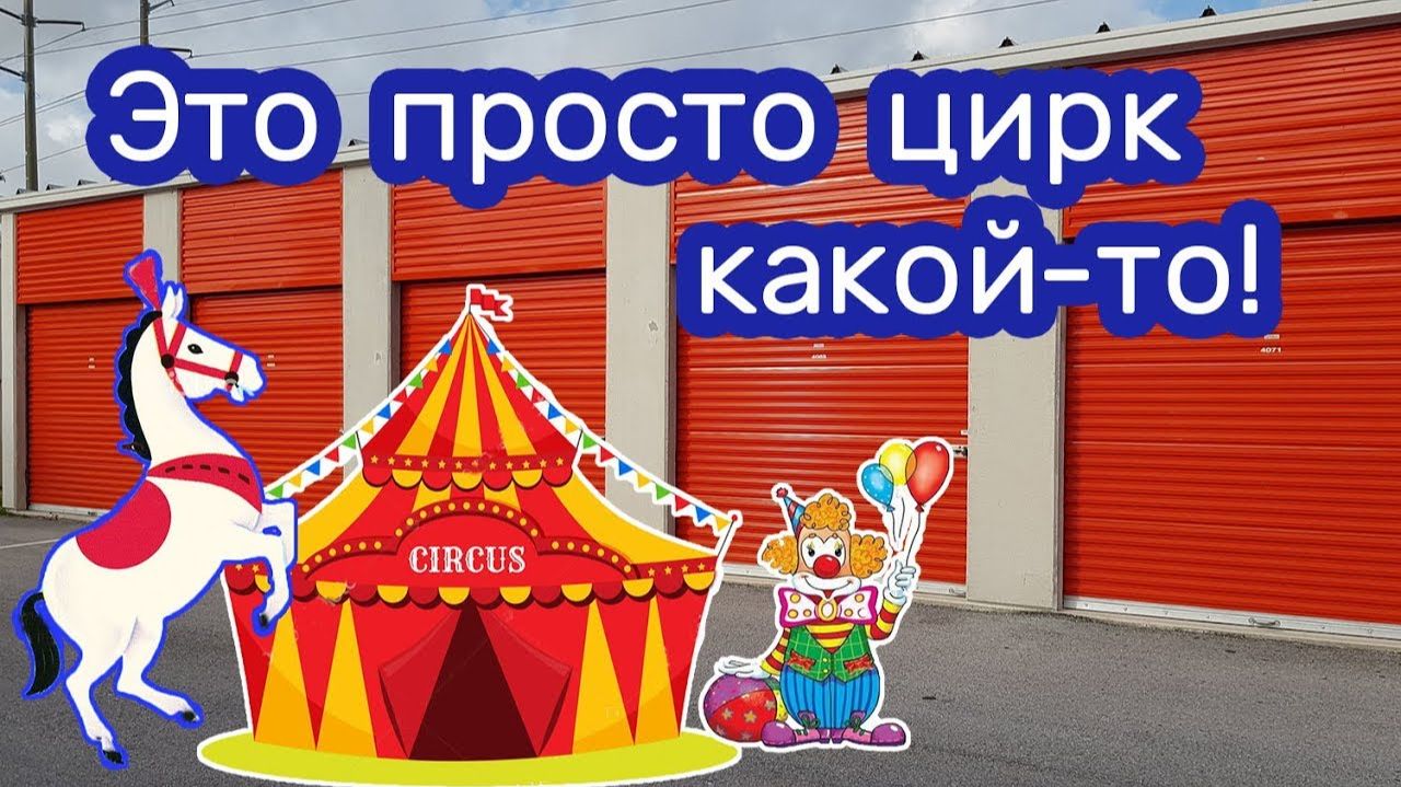 АУКЦИОН КОНТЕЙНЕРОВ В США / Лошади и лошадиные  бега. Находка в контейнере.