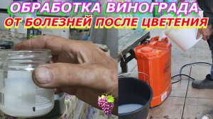 Обработка винограда от болезней после цветения. Проверка на совместимость.