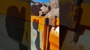 еблуночка 4 складометра дрова Одесса