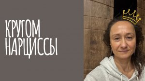 кругом нарциссы