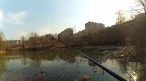 Ротан в городской луже - ловлю на боковой кивок!