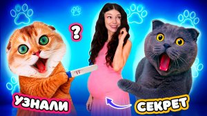 ВИКА БЕРЕМЕННА? КОТИКИ СЛЕДЯТ за ХОЗЯЙКОЙ и УЗНАЛИ СЕКРЕТ!