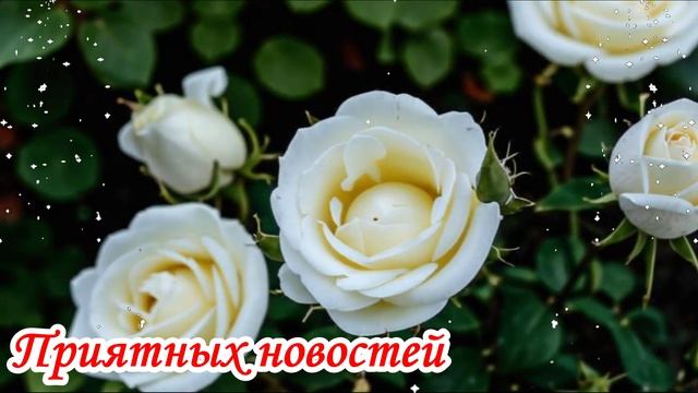 Для тебя. Музыкальная открытка.