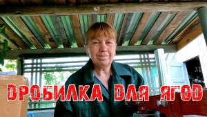 ПОПОЛНЕНИЕ В СЕМЕЙСТВЕ  ДРОБИЛКА ДЛЯ ЯГОД