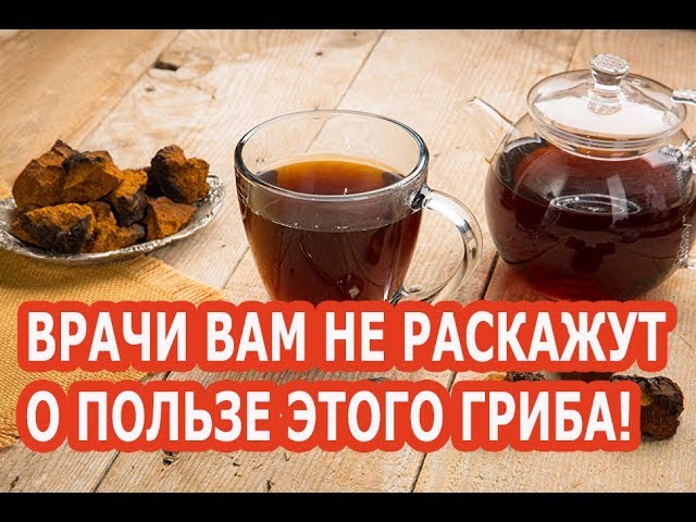 Врачам это не выгодно! ЧАГА лечит почти все болезни! И растет в каждом лесу! смотреть онлайн