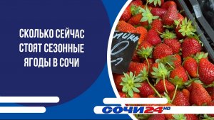 Сколько сейчас стоят сезонные ягоды в Сочи