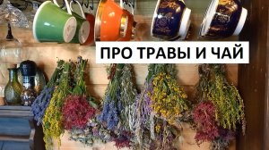 Про травы и чай.
