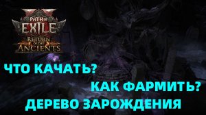 Разлом - Дерево Зарождения- Фарм и Выращивание даров утроб - Что качать? Path of Exile 2 0.5.3 #PoE2