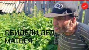 Быть Добру. Обидели деда Матвея