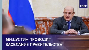 Мишустин проводит заседание правительства