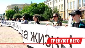 Зоозащитники развернули 20-метровый баннер в Иркутске и потребовали вето на закон об усыплении собак