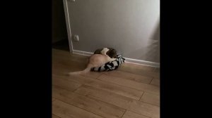 Как же они любят друг друга