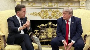 Дональд Трамп провел встречу с генсеком НАТО Марком Рютте.