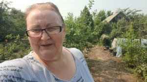 Про бензин на заправке. Дача. Жара. Притенили помидоры. Вечерний мукбанг.