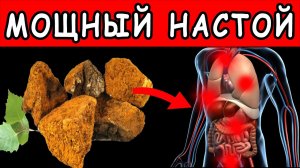НАСТОЙ ЧАГИ ТВОРИТ с ОРГАНИЗМОМ ТАКОЕ ... 👍 Березовый гриб - как приготовить НАСТОЙ из ЧАГИ