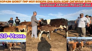 ХОРАЗМ ШОВОТ ПИР МОЛ БОЗОРИ ОНА БОЛА КСИР СИГИРЛАР ЗУРИ НАРХЛАР КЕСКИН УЗГАРДИ ЯНА 20-Июнь.