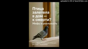 Птица залетела в дом — к смерти? Миф, суеверие или знак свыше? Аудио