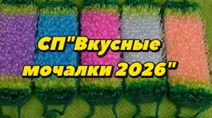СП«Вкусные мочалки»/2026 отчёт июнь