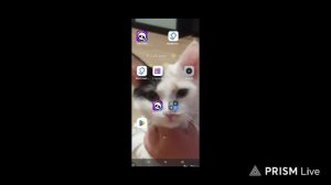 Играю в бс, бустую кому надо, играю с ПРИВАТКИ БРАВЛ СТАРС #бравл старс
