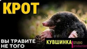 Вы зря с ним воюете Он не трогает корни он ест тех кто их грызёт
