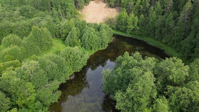 река Волюга, ч.2 смотреть онлайн