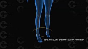 Массажная кровать Doctor Spine 5500 מיטת עיסוי