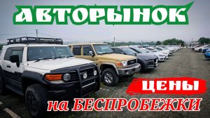 ЦЕНЫ НА БЕСПРОБЕЖКИ