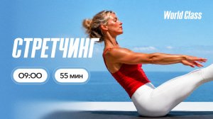 СТРЕТЧИНГ с Еленой Румянцевой | 26 июня 2026 | Онлайн-тренировки World Class