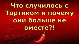 Inna Sudakova \ Инна Судакова \ Что случилось с Тортиком и почему они больше не вместе Обзор влогов