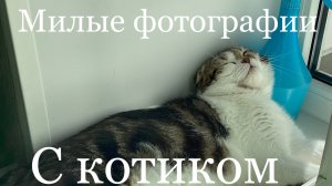✨Минутка расслабления✨ милые кадры с Мусиком