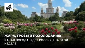 Жара, грозы и похолодание: какая погода ждёт россиян на этой неделе
