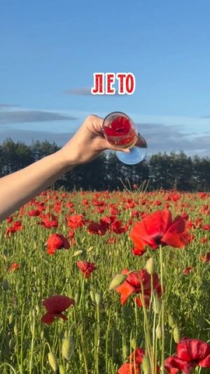 Лето в маках
