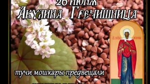 26 июня — Акулина Гречишница: Мирские каши, строгие приметы и запрет на молоко