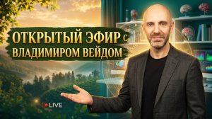 Почему одни люди достигают целей, а другие стоят на месте? Сила окружения | Владимир Вейд