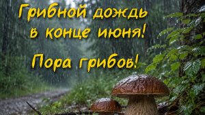 Дождь