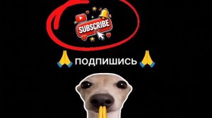 подпишиииииись