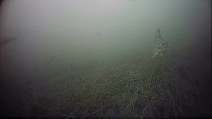 Съёмка подледной рыбалки 43