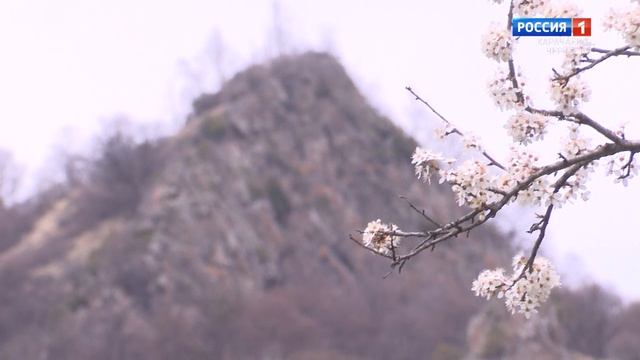 "Живет в сердцах" (на карачаевском языке)