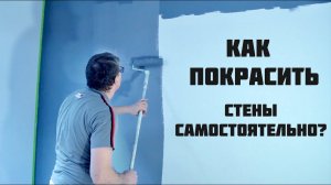 Как покрасить стены самостоятельно. Советы от профессионалов.