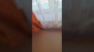 1000000491.mp4