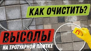 Как УБРАТЬ ВЫСОЛЫ на тротуарной плитке? Убираем высолы на кирпиче