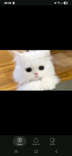 6767
