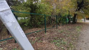 Забор перед штакетником.