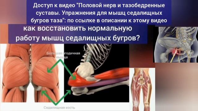 Таз, шея, стопы. Разжимаем главную артерию половой системы. Упражнения