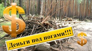 Сколько можно ЗАРАБОТАТЬ на ВАЛЕЖНИКЕ