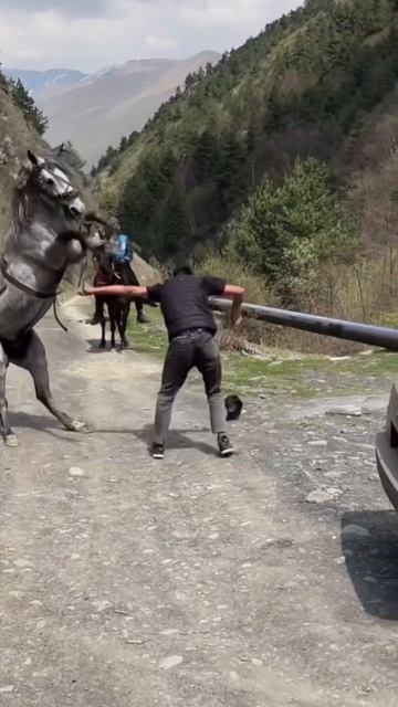 Быстрый спаринг 😂 смотреть онлайн